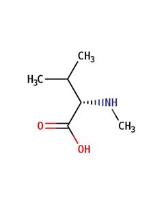 Astatech N-METHYL-L-VALINE; 1G; Purity 95%; MDL-MFCD00037754
